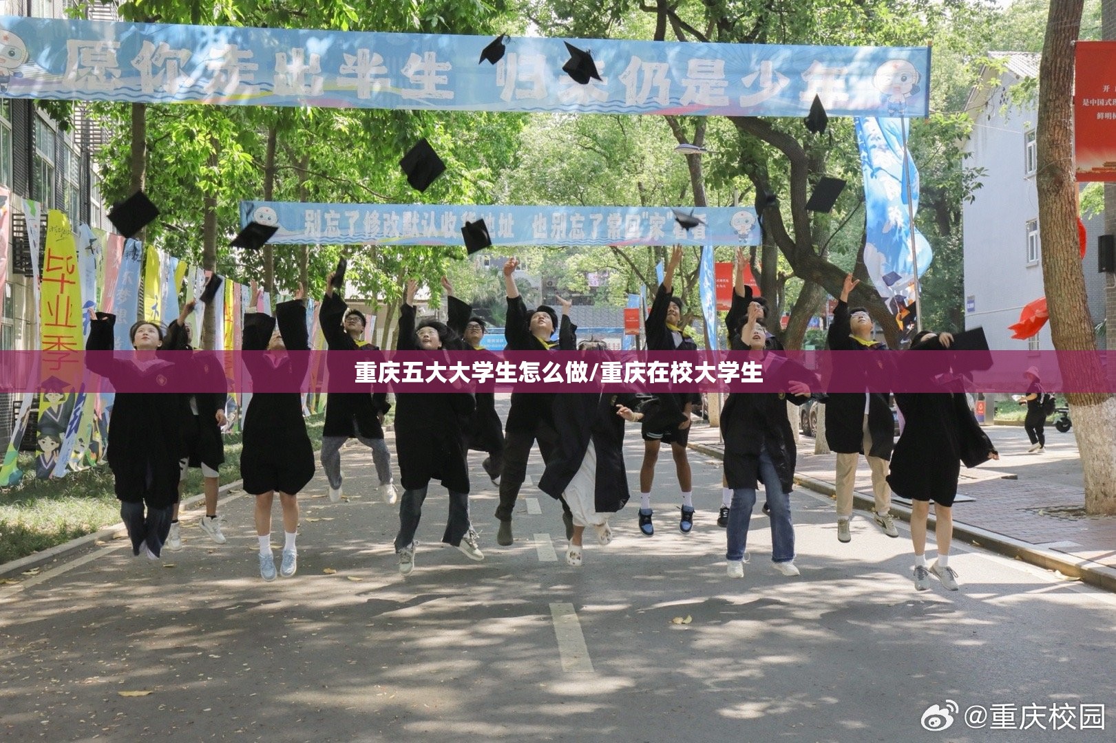 重庆五大大学生怎么做/重庆在校大学生