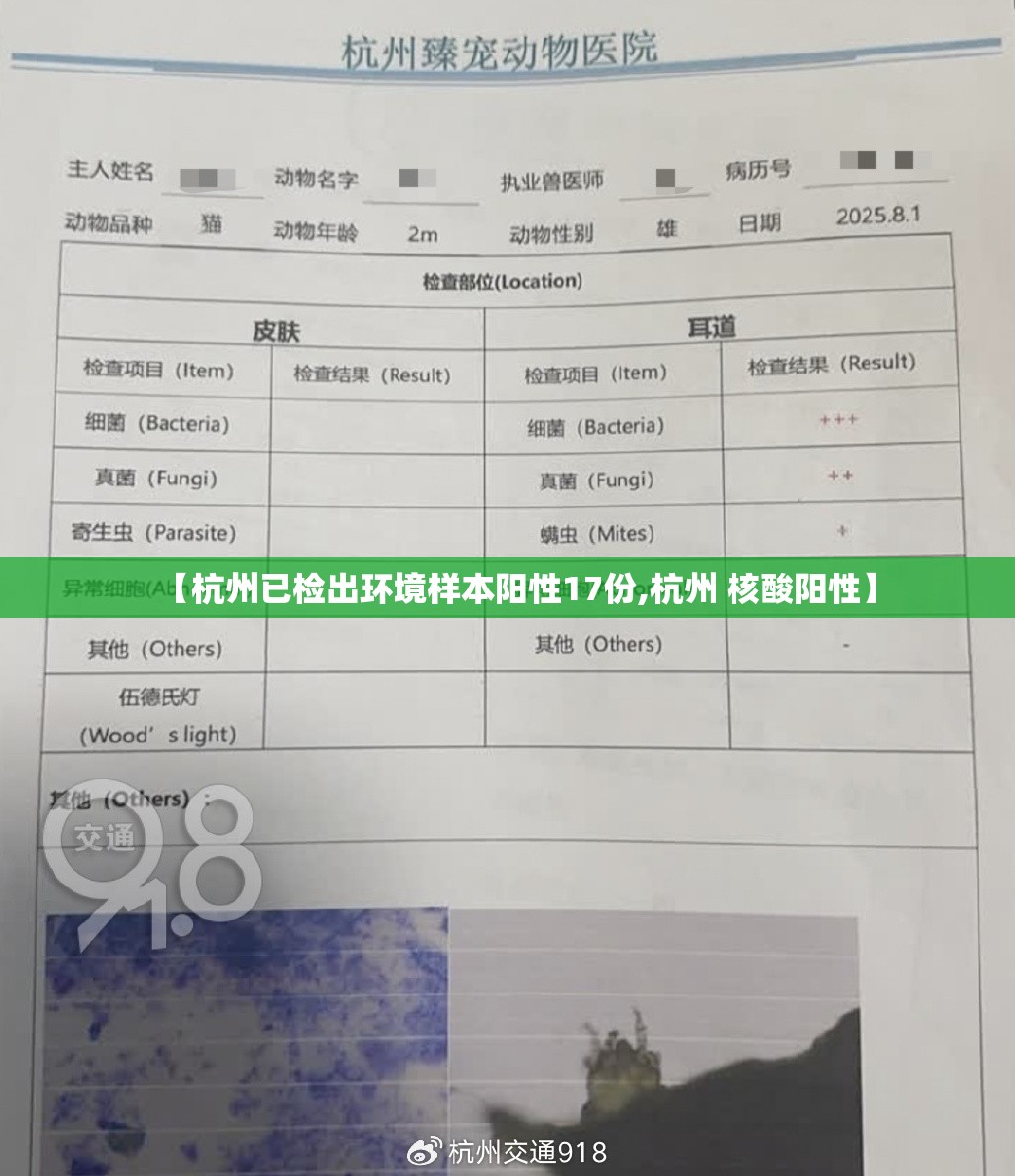 【杭州已检出环境样本阳性17份,杭州 核酸阳性】 【杭州已检出环境样本阳性17份,杭州 核酸阳性】