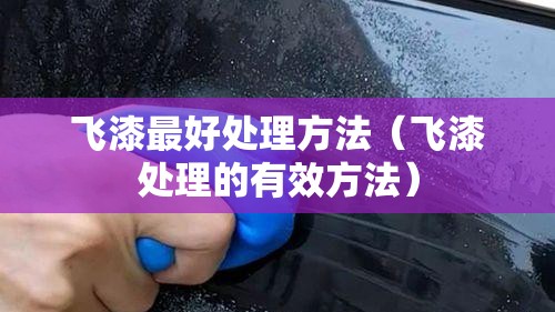 飞漆最好处理方法(飞漆处理的有效方法) 飞漆最好处理方法(飞漆处理的有效方法)