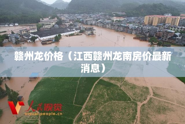 赣州龙价格(江西赣州龙南房价最新消息) 赣州龙价格(江西赣州龙南房价最新消息)
