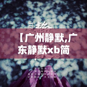【广州静默,广东静默xb简介】