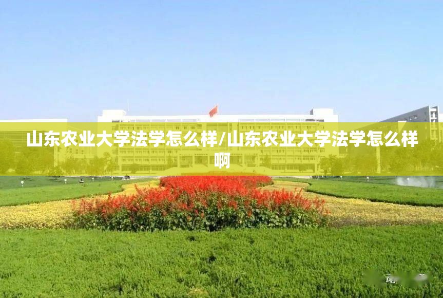 山东农业大学法学怎么样/山东农业大学法学怎么样啊 山东农业大学法学怎么样/山东农业大学法学怎么样啊