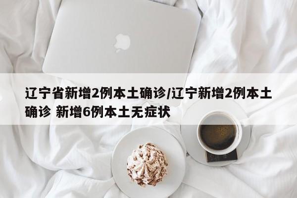 辽宁省新增2例本土确诊/辽宁新增2例本土确诊 新增6例本土无症状