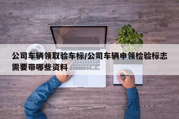 公司车辆领取验车标/公司车辆申领检验标志需要带哪些资料