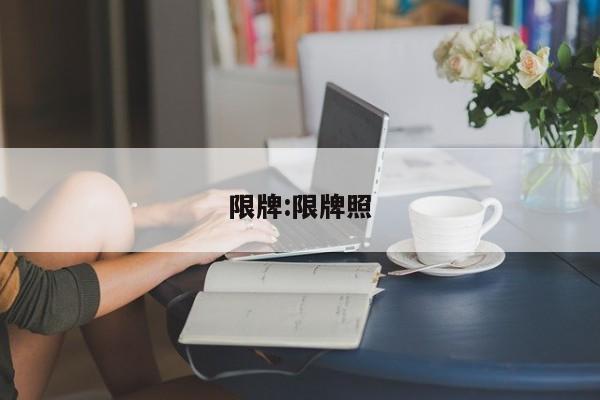 限牌:限牌照