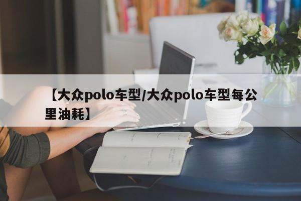 【大众polo车型/大众polo车型每公里油耗】