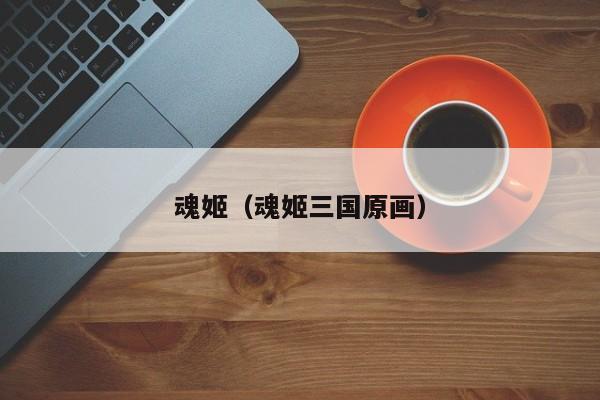 魂姬(魂姬三国原画)