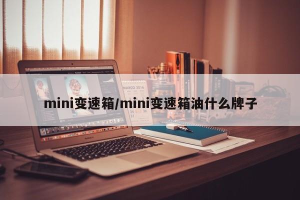 mini变速箱/mini变速箱油什么牌子