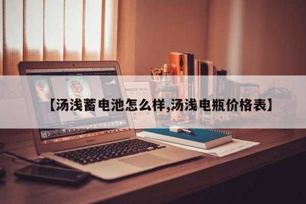 【汤浅蓄电池怎么样,汤浅电瓶价格表】