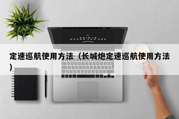 定速巡航使用方法(长城炮定速巡航使用方法)