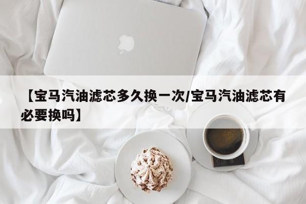 【宝马汽油滤芯多久换一次/宝马汽油滤芯有必要换吗】