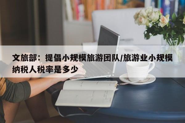 文旅部:提倡小规模旅游团队/旅游业小规模纳税人税率是多少
