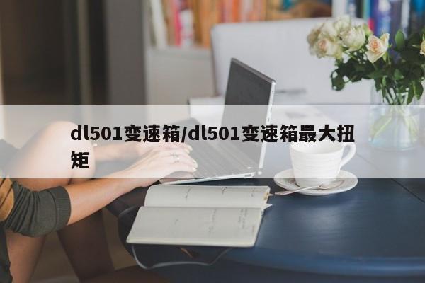dl501变速箱/dl501变速箱最大扭矩