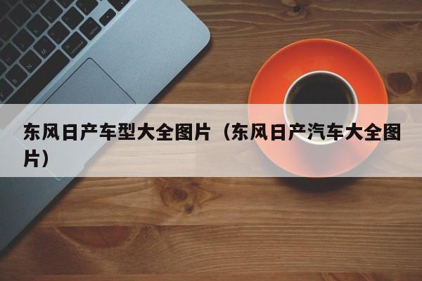 东风日产车型大全图片(东风日产汽车大全图片)