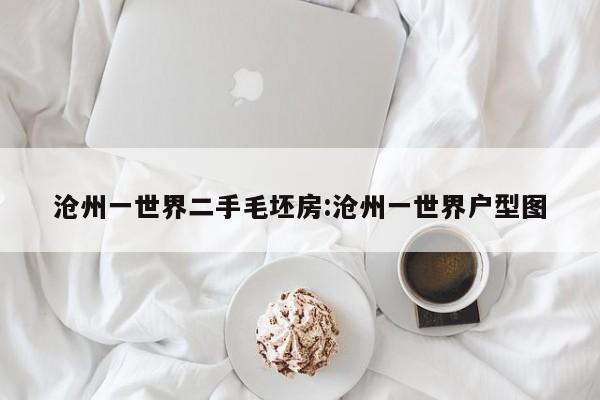 沧州一世界二手毛坯房:沧州一世界户型图